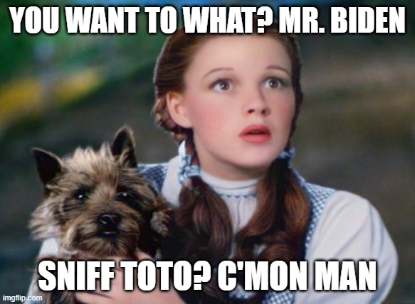 Toto Wizard of Oz | YOU WANT TO WHAT? MR. BIDEN; SNIFF TOTO? C'MON MAN | image tagged in toto wizard of oz | made w/ Imgflip meme maker