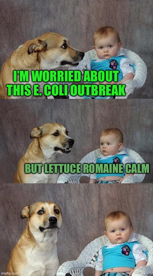 Hold up | I’M WORRIED ABOUT THIS E. COLI OUTBREAK; BUT LETTUCE ROMAINE CALM | image tagged in memes,dad joke dog | made w/ Imgflip meme maker
