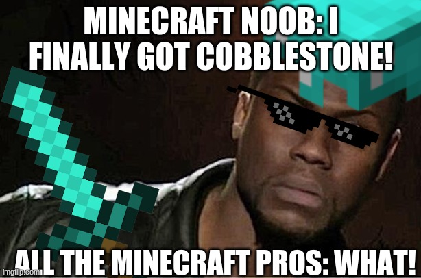 MINECRAFT NOOB: I FINALLY GOT COBBLESTONE! ALL THE MINECRAFT PROS: WHAT! | image tagged in minecraft | made w/ Imgflip meme maker