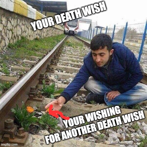 Flower Train Man | YOUR DEATH WISH; YOUR WISHING FOR ANOTHER DEATH WISH | image tagged in flower train man | made w/ Imgflip meme maker