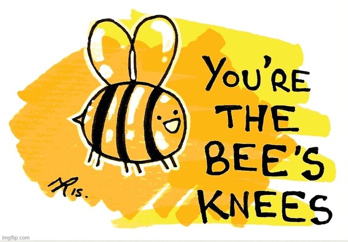 You’re the bee’s knees | image tagged in you re the bee s knees | made w/ Imgflip meme maker