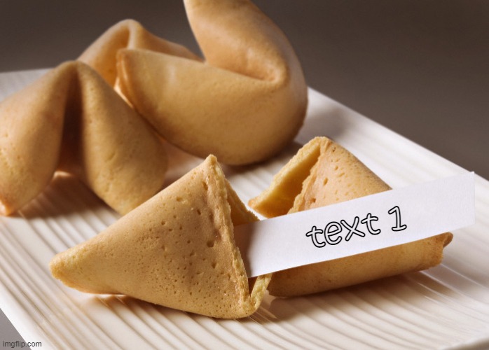 fortune cookie | text 1 | image tagged in fortune cookie | made w/ Imgflip meme maker