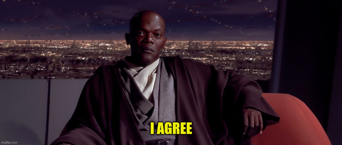 Mace Windu I agree | I AGREE | image tagged in mace windu i agree | made w/ Imgflip meme maker