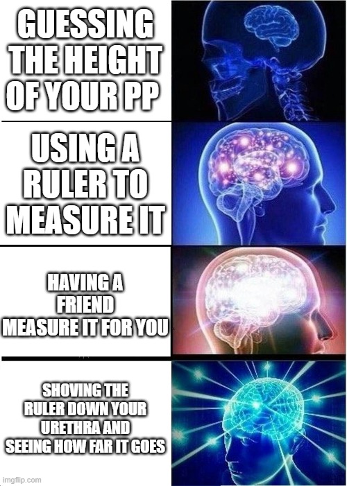 Expanding Brain | GUESSING THE HEIGHT OF YOUR PP; USING A RULER TO MEASURE IT; HAVING A FRIEND MEASURE IT FOR YOU; SHOVING THE RULER DOWN YOUR URETHRA AND SEEING HOW FAR IT GOES | image tagged in memes,expanding brain | made w/ Imgflip meme maker