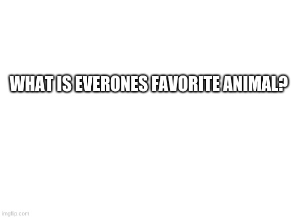 Hmm? | WHAT IS EVERONES FAVORITE ANIMAL? | image tagged in blank white template,animals,favorite | made w/ Imgflip meme maker