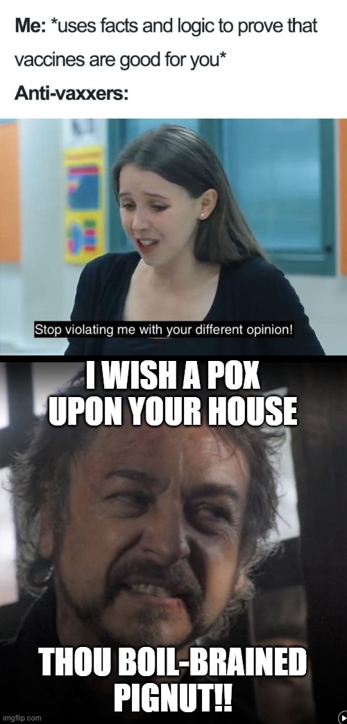 I WISH A POX UPON YOUR HOUSE; THOU BOIL-BRAINED PIGNUT!! | image tagged in anti vax,karen,salem,insult,vaccines,vaccine | made w/ Imgflip meme maker