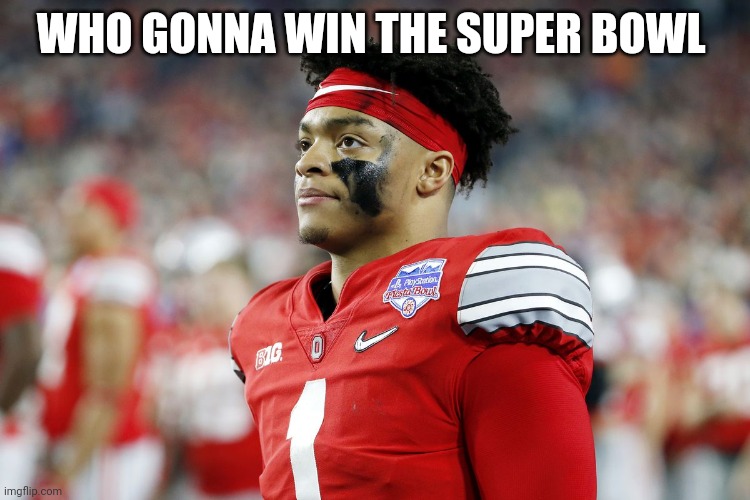Dispointed | WHO GONNA WIN THE SUPER BOWL | image tagged in dispointed | made w/ Imgflip meme maker