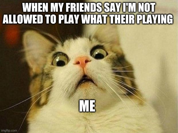 Scared Cat | WHEN MY FRIENDS SAY I'M NOT ALLOWED TO PLAY WHAT THEIR PLAYING; ME | image tagged in memes,scared cat | made w/ Imgflip meme maker