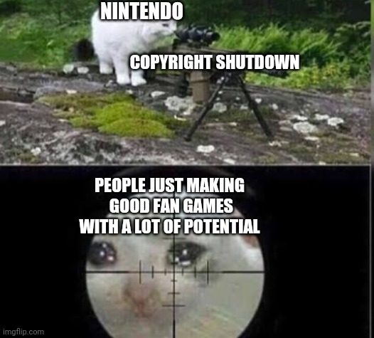 Congratulations Nintendo | NINTENDO; COPYRIGHT SHUTDOWN; PEOPLE JUST MAKING  GOOD FAN GAMES WITH A LOT OF POTENTIAL | image tagged in cat sniper | made w/ Imgflip meme maker