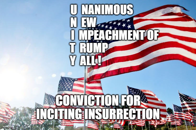 The Call For UNITY ! | U  NANIMOUS
N  EW
                              I  MPEACHMENT OF 
     T  RUMP
  Y  ALL ! CONVICTION FOR INCITING INSURRECTION | image tagged in unity,impeach,impeach trump,trump impeachment,impeachment,traitor | made w/ Imgflip meme maker