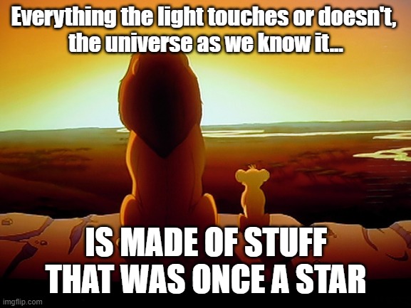 Lion King | Everything the light touches or doesn't, 
the universe as we know it... IS MADE OF STUFF THAT WAS ONCE A STAR | image tagged in memes,lion king | made w/ Imgflip meme maker