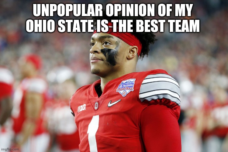 Dispointed | UNPOPULAR OPINION OF MY 
OHIO STATE IS THE BEST TEAM | image tagged in dispointed | made w/ Imgflip meme maker