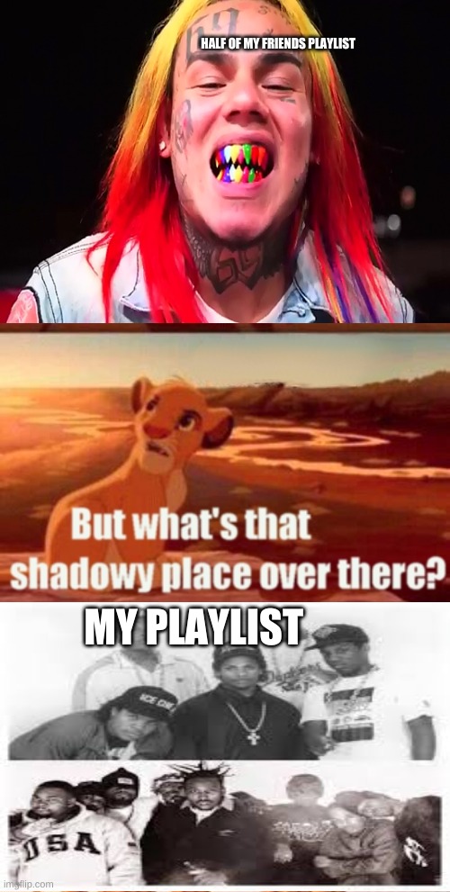 Simba Shadowy Place | HALF OF MY FRIENDS PLAYLIST; MY PLAYLIST | image tagged in memes,simba shadowy place | made w/ Imgflip meme maker