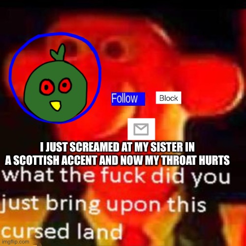 First world problems | I JUST SCREAMED AT MY SISTER IN A SCOTTISH ACCENT AND NOW MY THROAT HURTS | made w/ Imgflip meme maker