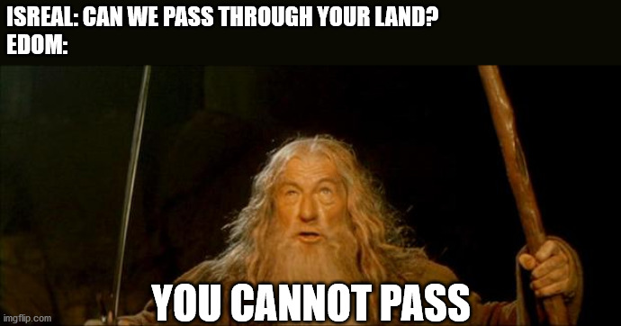 gandalf you shall not pass | ISREAL: CAN WE PASS THROUGH YOUR LAND?
EDOM:; YOU CANNOT PASS | image tagged in gandalf you shall not pass | made w/ Imgflip meme maker