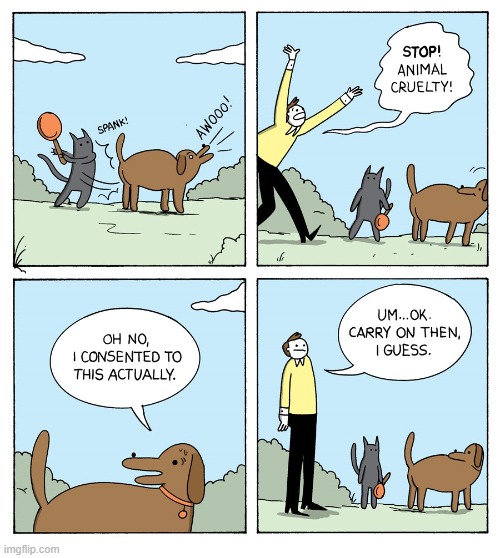 Cats and dogs... | image tagged in comics/cartoons,comics,cats and dogs | made w/ Imgflip meme maker