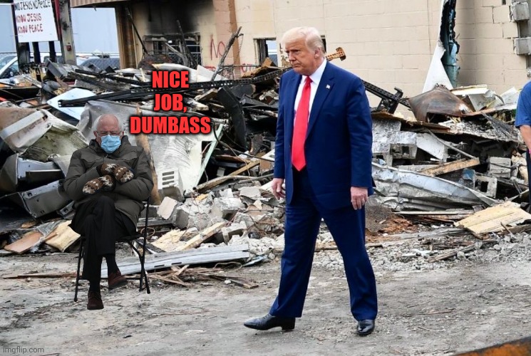 trump the disaster | NICE JOB, DUMBASS | image tagged in trump the disaster | made w/ Imgflip meme maker