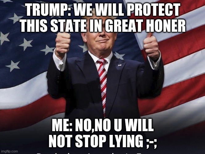 Donald Trump Thumbs Up | TRUMP: WE WILL PROTECT THIS STATE IN GREAT HONER; ME: NO,NO U WILL NOT STOP LYING ;-; | image tagged in donald trump thumbs up | made w/ Imgflip meme maker