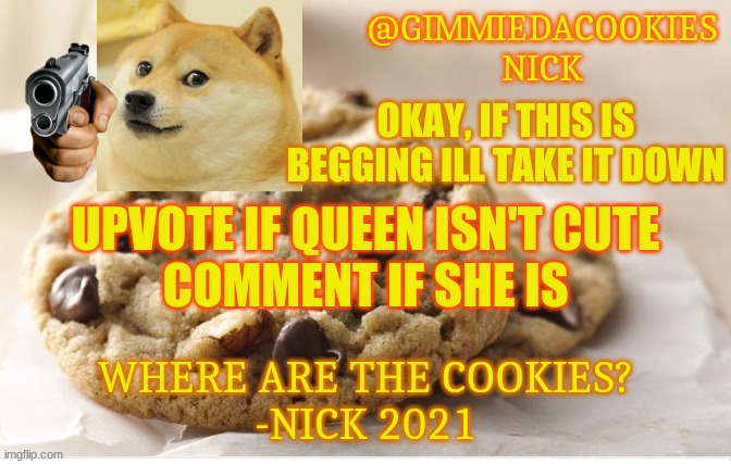 its for a bet (ight bois help me out) | OKAY, IF THIS IS BEGGING ILL TAKE IT DOWN; UPVOTE IF QUEEN ISN'T CUTE
COMMENT IF SHE IS | image tagged in new template | made w/ Imgflip meme maker