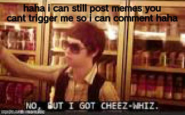 say all u want i aint commenting | haha i can still post memes you cant trigger me so i can comment haha | image tagged in no but i got cheez-whiz | made w/ Imgflip meme maker