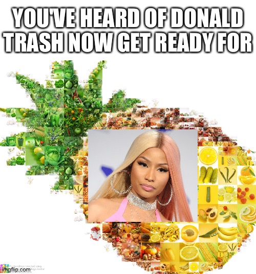 Nikki | YOU'VE HEARD OF DONALD TRASH NOW GET READY FOR | image tagged in nikki minaj | made w/ Imgflip meme maker