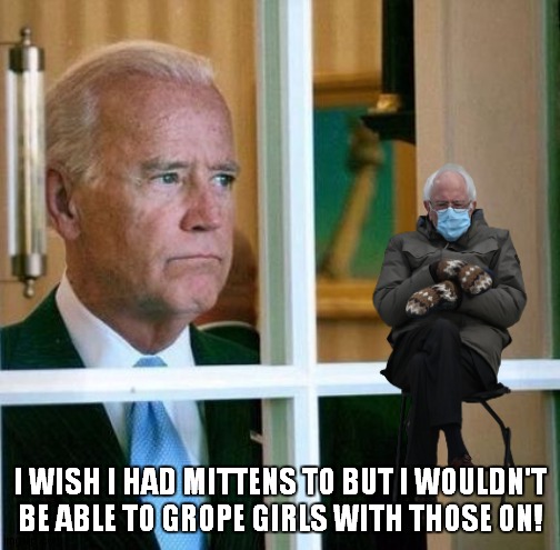 Sad Joe Biden | I WISH I HAD MITTENS TO BUT I WOULDN'T BE ABLE TO GROPE GIRLS WITH THOSE ON! | image tagged in sad joe biden | made w/ Imgflip meme maker