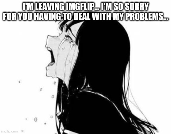 Goodbye forever.. | I'M LEAVING IMGFLIP... I'M SO SORRY FOR YOU HAVING TO DEAL WITH MY PROBLEMS... | image tagged in crying anime woman | made w/ Imgflip meme maker