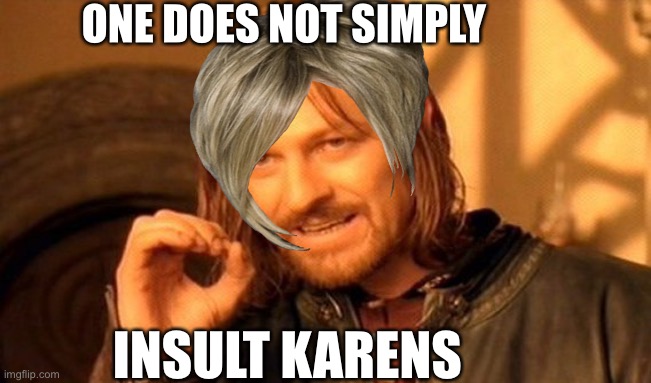 Do not insult Karens | ONE DOES NOT SIMPLY; INSULT KARENS | image tagged in memes,one does not simply,karens | made w/ Imgflip meme maker