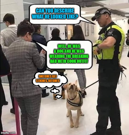Sir, this is a drug dog. | CAN YOU DESCRIBE WHAT HE LOOKED LIKE? WELL, HE WAS A DOG AND HE WAS WEARING THE BREAKING BAD METH COOK OUTFIT SNITCHES GET STICHES, BITCHES | image tagged in sir this is a drug dog | made w/ Imgflip meme maker