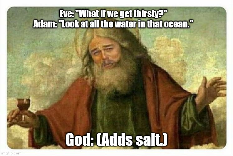 Feeling playful. | Eve: "What if we get thirsty?"
Adam: "Look at all the water in that ocean."; God: (Adds salt.) | image tagged in god leonardo,funny | made w/ Imgflip meme maker