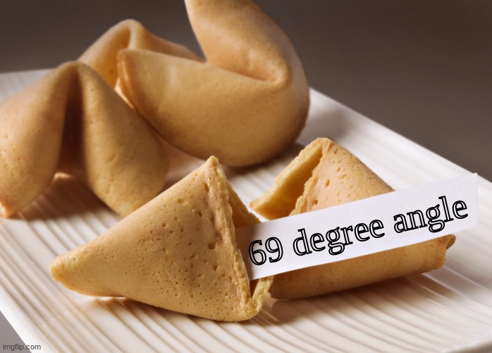 what | 69 degree angle | image tagged in fortune cookie | made w/ Imgflip meme maker