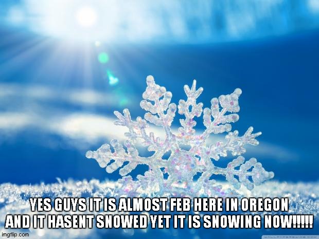 snowflake | YES GUYS IT IS ALMOST FEB HERE IN OREGON AND IT HASENT SNOWED YET IT IS SNOWING NOW!!!!! | image tagged in snowflake | made w/ Imgflip meme maker