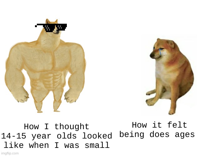 ugh. | How I thought 14-15 year olds looked like when I was small; How it felt being does ages | image tagged in memes,buff doge vs cheems | made w/ Imgflip meme maker