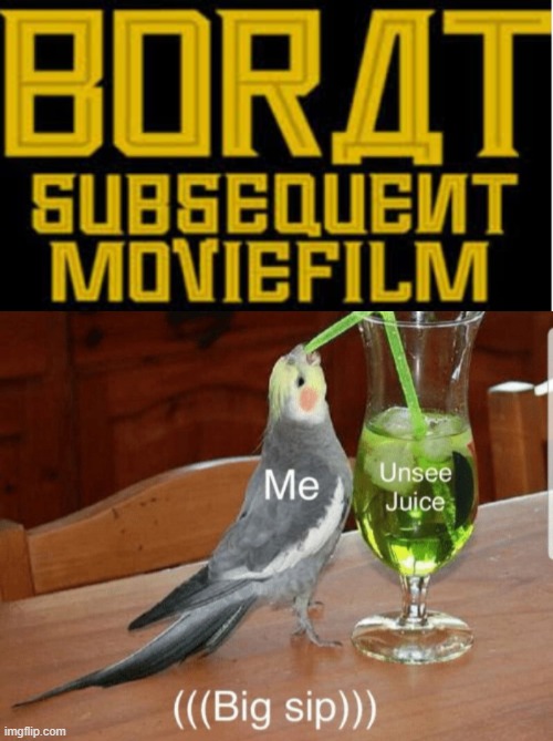 Second moviefilm make great disappoint | image tagged in unsee juice,borat,not funny | made w/ Imgflip meme maker