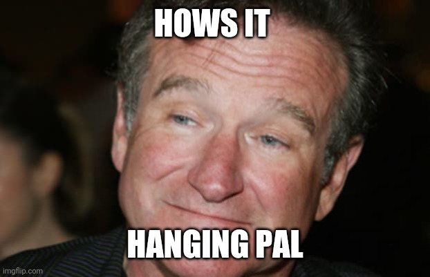 Oops | HOWS IT; HANGING PAL | image tagged in hang in there | made w/ Imgflip meme maker
