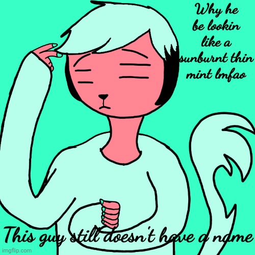 Why he be lookin like a sunburnt thin mint lmfao; This guy still doesn't have a name | made w/ Imgflip meme maker