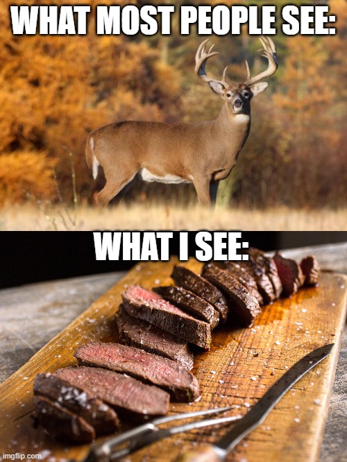 I don't CARE what environmentalists say. I. LIKE. MEAT. I DON'T LIKE VEGTABLES. | WHAT MOST PEOPLE SEE:; WHAT I SEE: | image tagged in whitetail deer | made w/ Imgflip meme maker