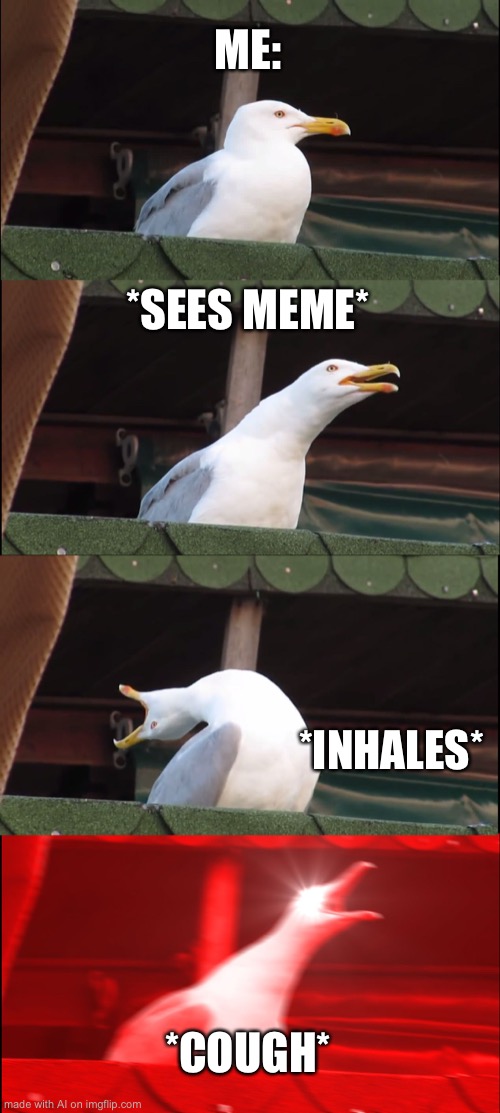 Inhaling Seagull Meme |  ME:; *SEES MEME*; *INHALES*; *COUGH* | image tagged in memes,inhaling seagull | made w/ Imgflip meme maker