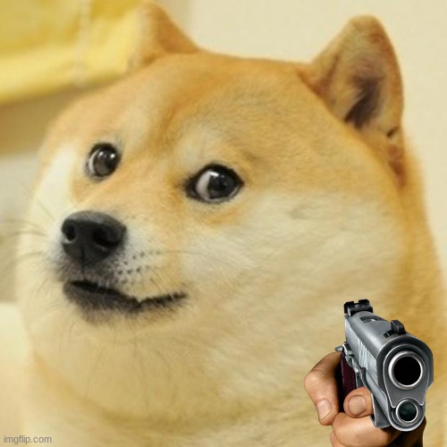 Doge Meme | image tagged in memes,doge | made w/ Imgflip meme maker