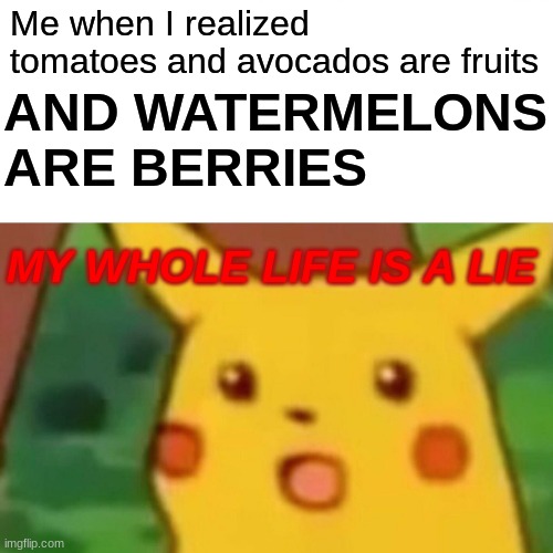 Surprised Pikachu Meme | AND WATERMELONS ARE BERRIES; Me when I realized tomatoes and avocados are fruits; MY WHOLE LIFE IS A LIE | image tagged in memes,surprised pikachu | made w/ Imgflip meme maker