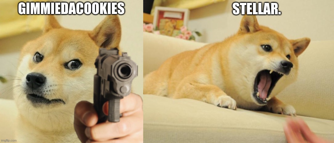 GIMMIEDACOOKIES STELLAR. | image tagged in doge holding a gun,angry doge | made w/ Imgflip meme maker