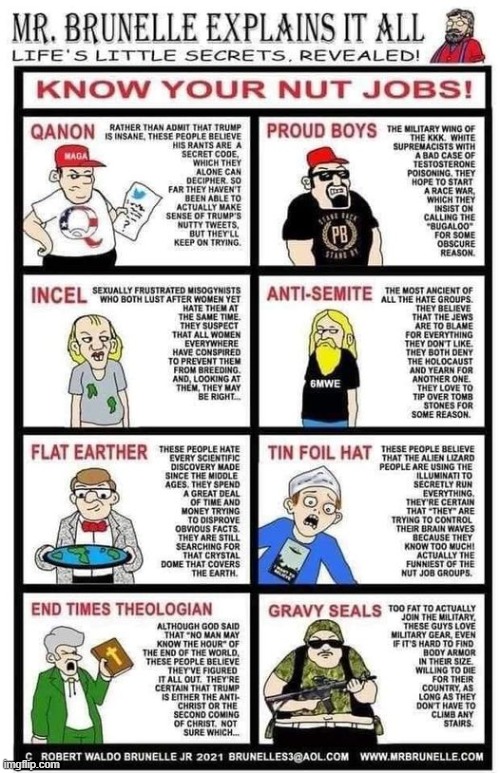yas finally i am all of these, maga | image tagged in know your nutjobs,maga,anti-semite and a racist,flat earthers,qanon,repost | made w/ Imgflip meme maker