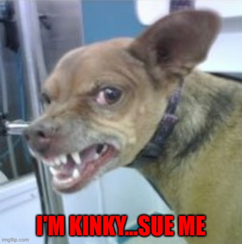 I'M KINKY...SUE ME | made w/ Imgflip meme maker