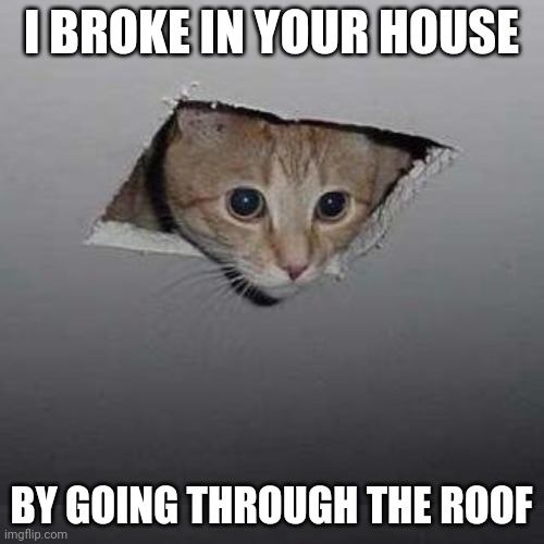 Ceiling Cat Meme | I BROKE IN YOUR HOUSE BY GOING THROUGH THE ROOF | image tagged in memes,ceiling cat | made w/ Imgflip meme maker