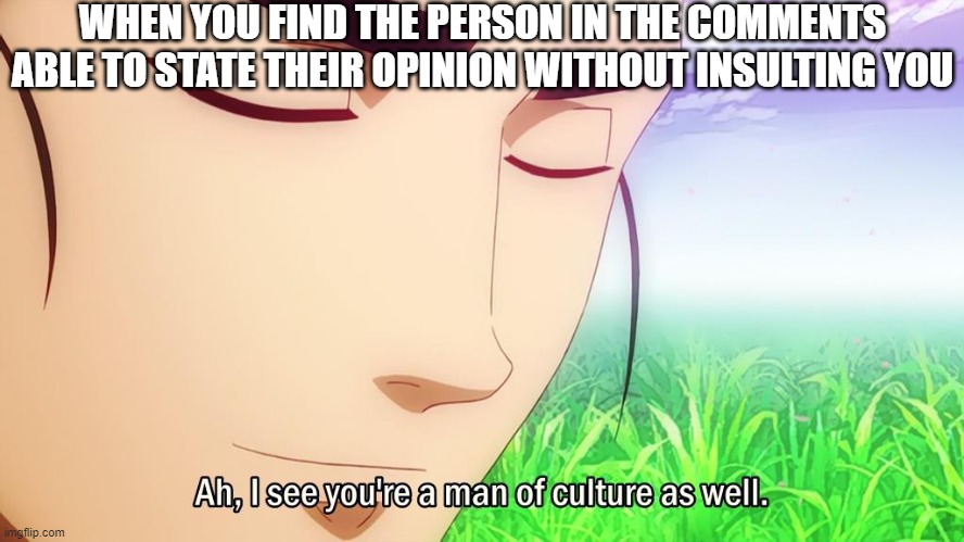Man, woman, or other of culture | WHEN YOU FIND THE PERSON IN THE COMMENTS ABLE TO STATE THEIR OPINION WITHOUT INSULTING YOU | image tagged in i see you'er a man of culture | made w/ Imgflip meme maker