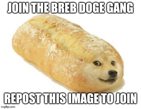 Join the clan | image tagged in doge,repost,bread | made w/ Imgflip meme maker