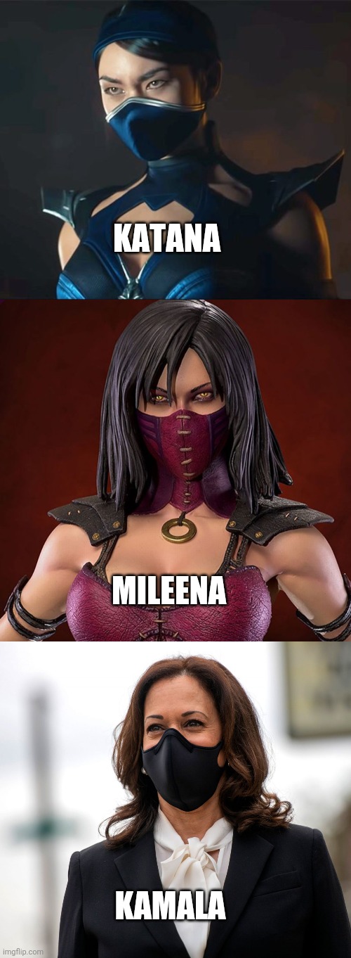 Politics and stuff | KATANA; MILEENA; KAMALA | image tagged in funny memes | made w/ Imgflip meme maker