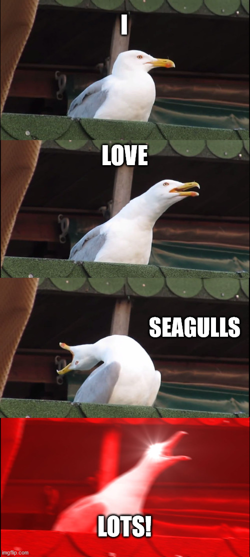 Inhaling Seagull Meme | I LOVE SEAGULLS LOTS! | image tagged in memes,inhaling seagull | made w/ Imgflip meme maker