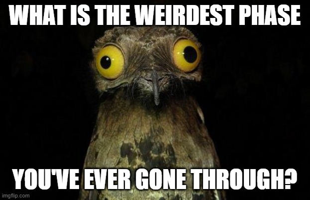 Weird Stuff I Do Potoo | WHAT IS THE WEIRDEST PHASE; YOU'VE EVER GONE THROUGH? | image tagged in memes,weird stuff i do potoo | made w/ Imgflip meme maker