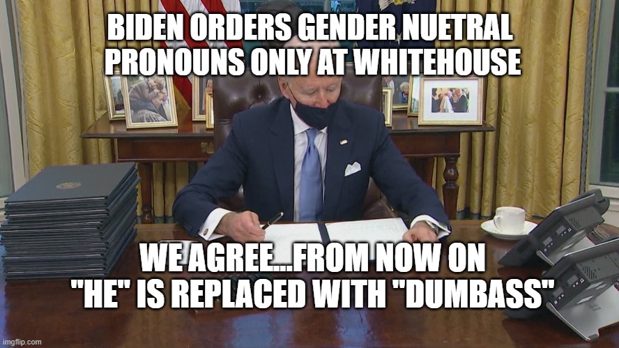 biden dumbass | BIDEN ORDERS GENDER NUETRAL
 PRONOUNS ONLY AT WHITEHOUSE; WE AGREE...FROM NOW ON "HE" IS REPLACED WITH "DUMBASS" | image tagged in biden,dumbass,pronouns,gender neutral,time magazine person of the year,donald trump | made w/ Imgflip meme maker